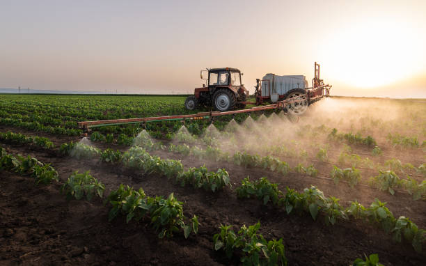 Best Pest Removal Services  in Sistersville, WV