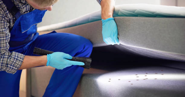 Best Residential Pest Control  in Sistersville, WV