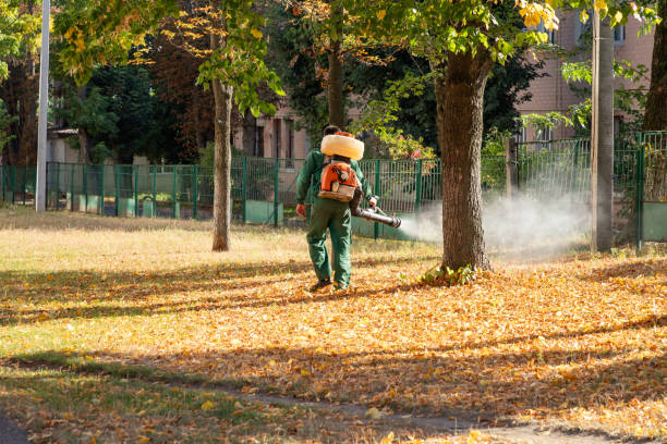 Best Insect Control  in Sistersville, WV