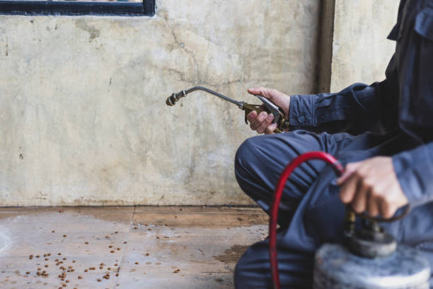 Best Ant Control Services  in Sistersville, WV